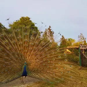 Alloggio per agriturismo Podere Asche, Santa Fiora